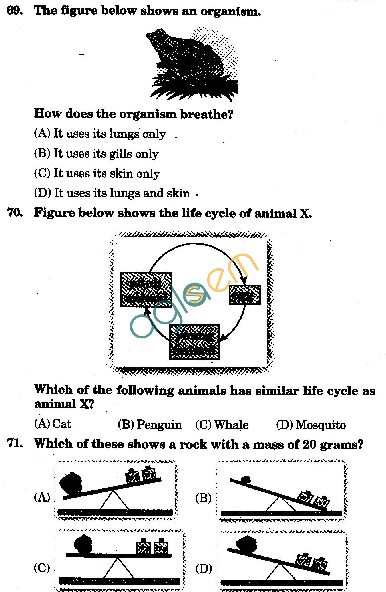 NSTSE 2009 Class III Question Paper with Answers - Science