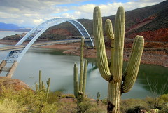 State Route 188 Bridge with Saguaro, Roosevelt Lake, Arizona
