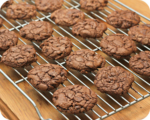 Ultimate Chocolate Cookie