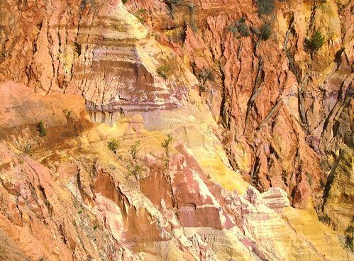 winter red lana nature mississippi landscape colorful canyon erosion soil geology naturalwonder morgantown bluff redbluff gramlich fantasticnature dragondaggerphoto canoneosrebelt2i lanagramlich jan222013