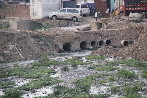Drains opening into the Cooum at Arumbakkam