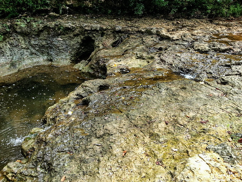 larrybell larebell larebel southernphotosoutlookcom souwilpa creek bridgechoctaw county alabama