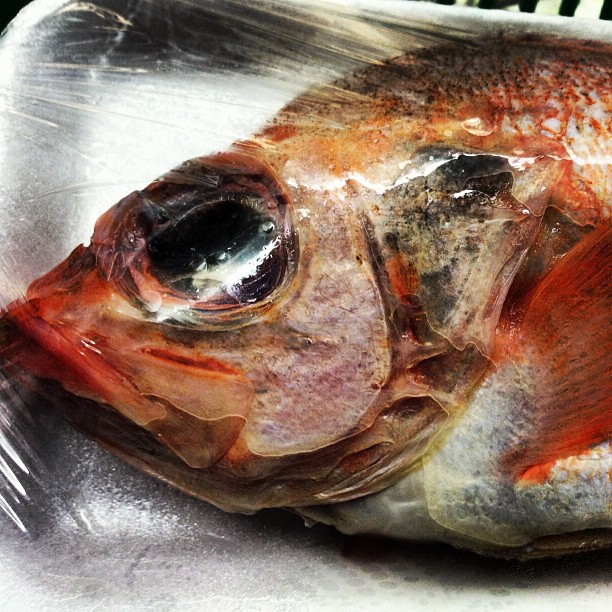 #orange #trout #fish#sushi #food #detroit