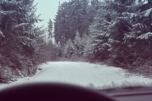 road snow ice car forest republic czech inside moravia blansko hořice