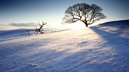winter sunset shadow snow tree silhouette wales evening hill freezing bluesky hillside exposed windblown longshadows welshmarches newradnor smatcher