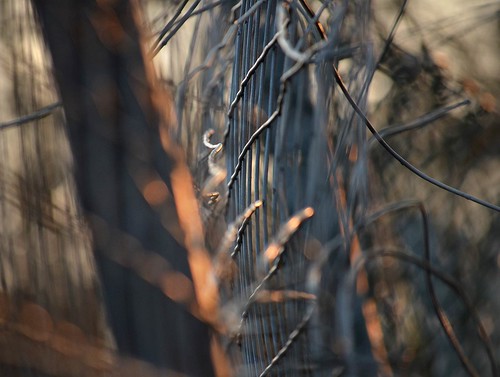 broken sunrise fence wire hff nikond7000 fencedfriday peteware
