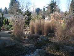 Macadam Winter Garden