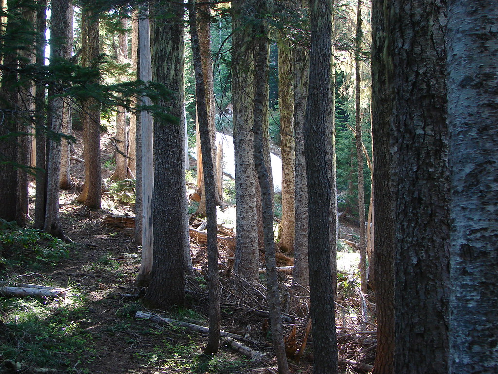 Elkhorn Ridge Trail