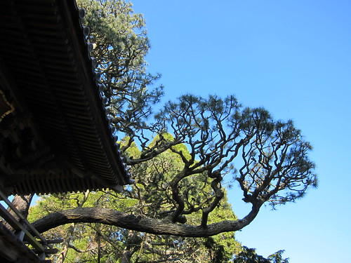 Golden Gate Park Japanese Tea Garden, San F… IMG_3222