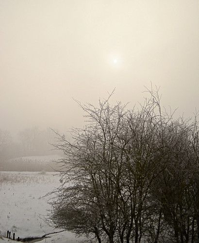 nature fog photo nikon belgium gingelom d5100