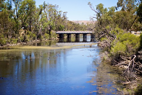 york bridge westernaustralia avonriver