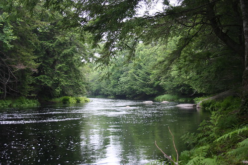 park canada nova forest river trail national scotia kejimkujik
