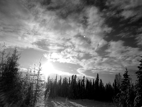 winter blackandwhite nature alaska iphone5