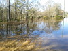 Withlacoochee River overflow