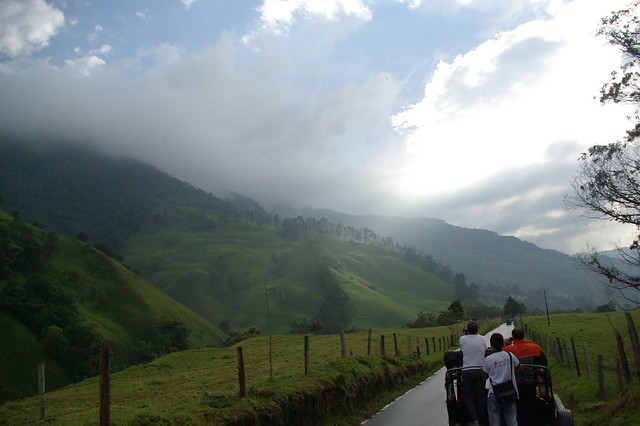 cocora valley colombia