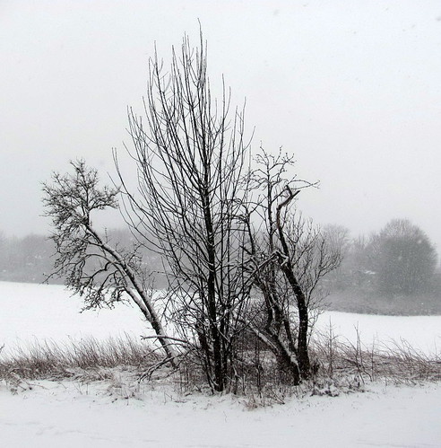 schnee snow germany landscape