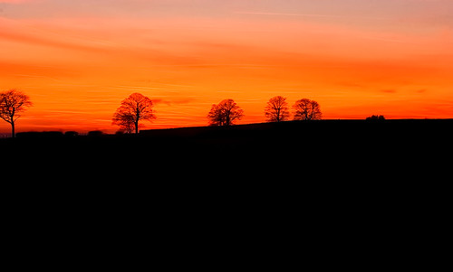 uk trees sunset sky canon 350d leeds westyorkshire eastcarlton martyngillphotography2013