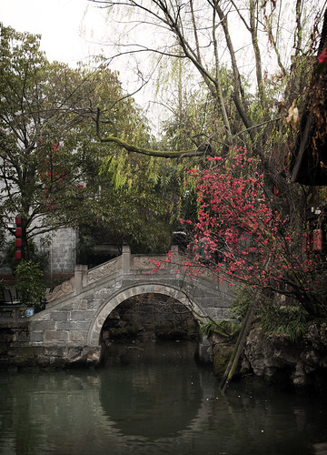 china street city bridge trees urban streets water architecture asian pond asia cityscape arch blossom chinese streetshots streetphotography chengdu sichuan citycentre eastasia eastasian chinesearchitecture sichuanese jinli chinesebridge jinliancientstreet