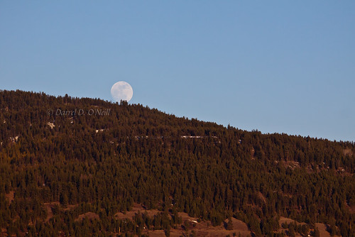 blue trees sunset red sky orange brown moon white mountain canada mountains tree green nature forest glow bc okanagan hill hills moonrise valley glowing moons forests goldenhour
