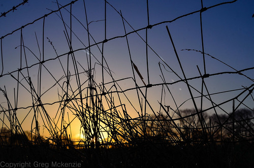 morning grass sunrise 35mm fence countryside nikon bokeh d7000