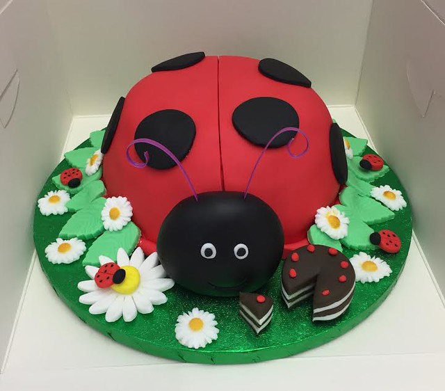 Ladybug Cake by Lauren Dewberry of Lozzie's Cakes