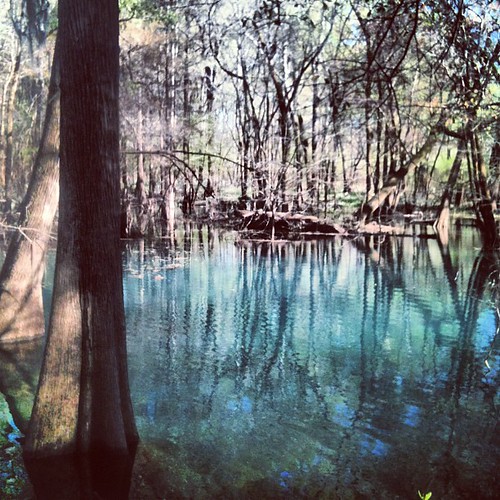 film water river georgia square spring south documentary oasis swamp squareformat limestone cypress hudson geology paddling flint aquifer iphoneography instagramapp uploaded:by=instagram whoownswater
