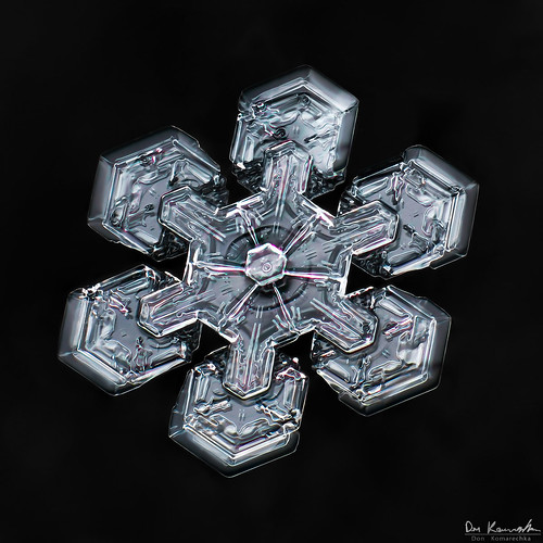snowflake winter snow cold macro ice geometric shine crystal symmetry hexagon depth mpe focusstack donkom