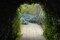 623-20100314-Malta-Il Bidnija Village-Ras Rihana House-garden path and tunnel