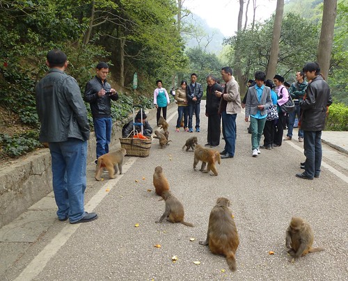 Guizhou13-Guiyang-Parc Qianling (25)