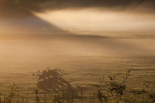sunrise mist morning fog newengland farm field dew canon5dmarkii