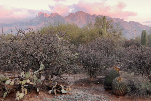santa sunset arizona cactus usa mountain mountains southwest west america landscape catalina high desert tucson south north az ridge northamerica pusch