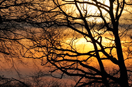 sunset licht sonnenuntergang münsterland februar konturen