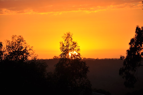 sunset cloud sun tree australia melbourne victoria eucalyptus mountburnettobservatory