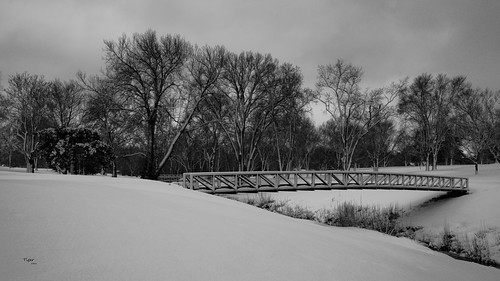 bridge trees winter white snow landscape illinois nikon bridges golfcourse quincyil nikond7000 quincycountryclub