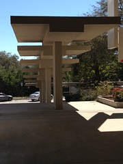 Sarasota Modern
