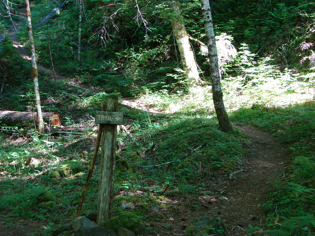 Tumble Ridge Trail