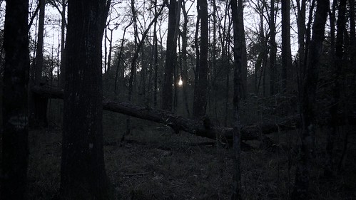 camping sunset dusk forests angelinanationalforest uplandislandwilderness angelinanf