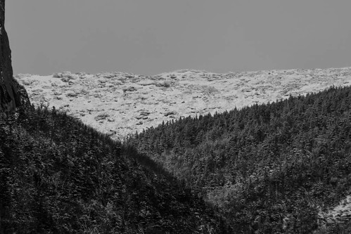 trees sky white snow black mountains ice monochrome clouds forest woods frost unitedstates newhampshire franconia national em5 45200mm