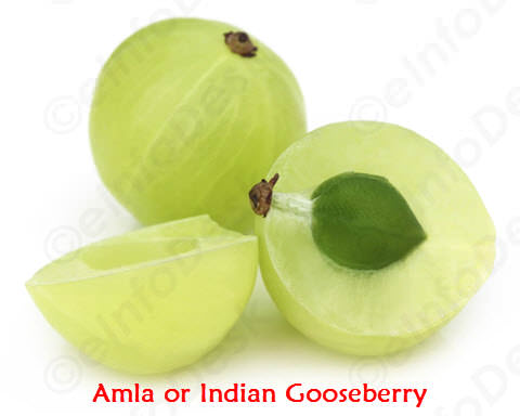 amal or indian gooseberry for hair growth and prevent hair loss