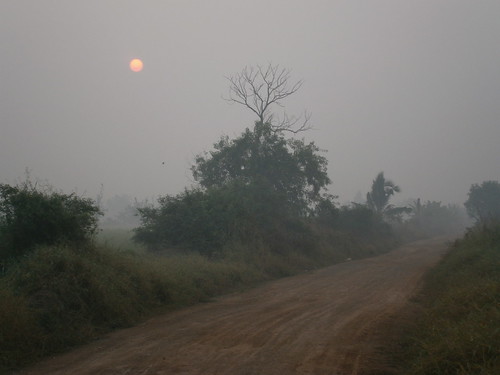 weather fog thailand chachoengsao ประเทศไทย เมืองไทย พระอาทิตย์ขึ้น ดวงอาทิตย์ขึ้น