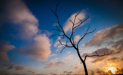 sun tree clouds sunrise canon silouhette 500d hiddenlakeforestpreserve forestpreservedistrictofdupagecounty t1i fpddc kevinrodde kevinroddephoto kevinroddephotography