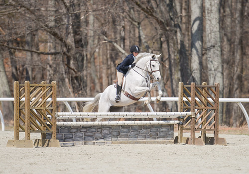 sports animal animals jumping equine equitation cleanslate randolphcollege allisonrenulli