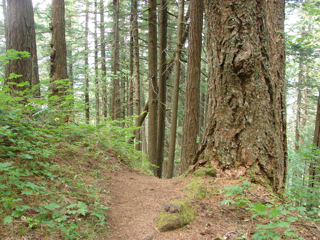 Starvation Ridge Trail