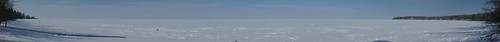 panorama dog snow canada weather animal clouds manitoba harley lakewinnipeg hugin