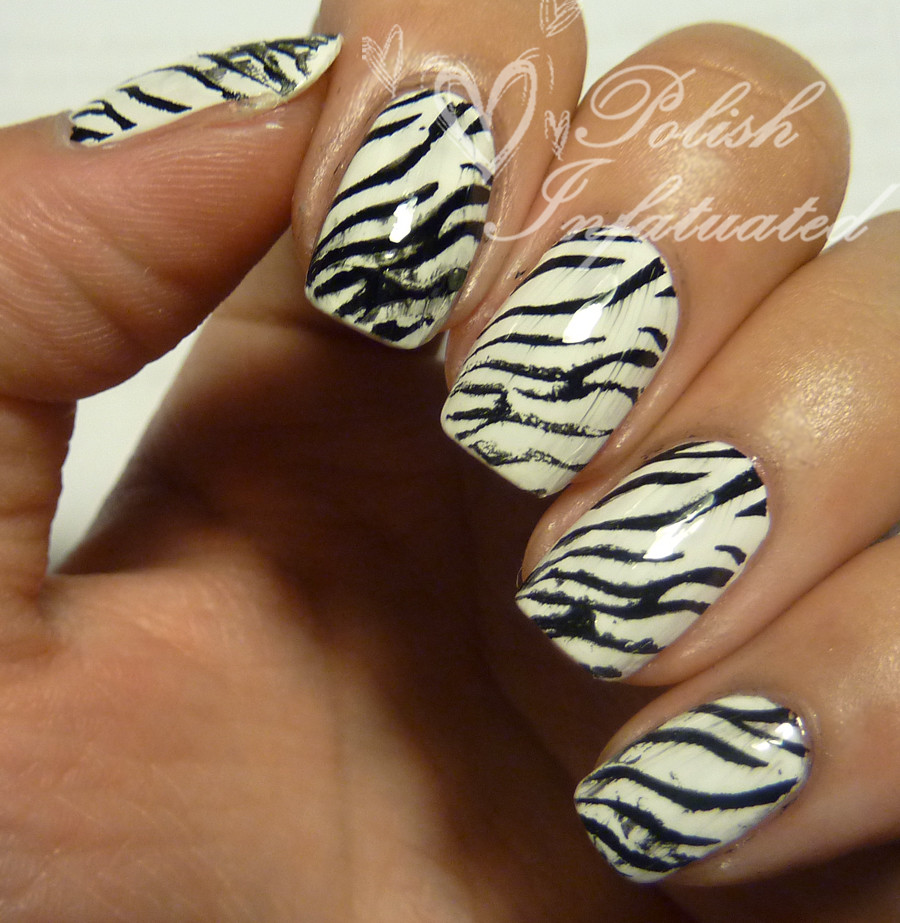 Do zebras have black or white stripes? ~ Polish Infatuated