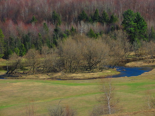 canada nature water landscape champs val le québec prairie paysage campagne printemps couleur forêt bois mrc environnement rivage ruisseau stfrançois ulverton valstfrançois