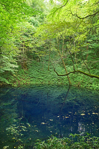 lake japan forest 東北 青森 湖 森林 青池 白神 十二湖 ブナ