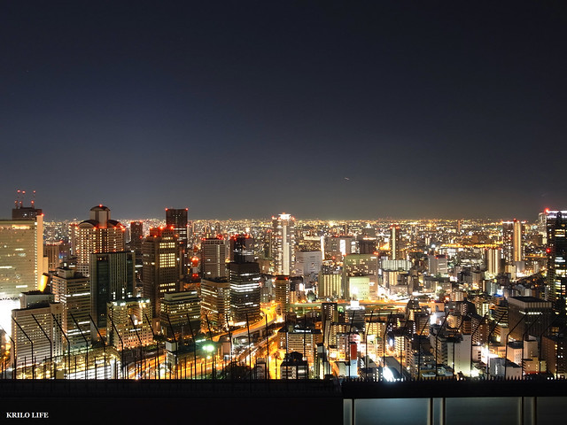 201201 Osaka Night Scene 1