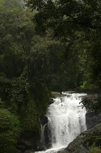 india waterfall kerala falls westernghats munnar anaimalaihills lakkom lakkomfalls