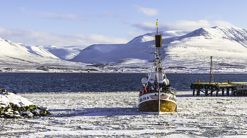 winter snow port landscape iceland ship whalewatching akureyri eyjafjörður snjór vetur haf ís landslag staðir capturedimages
